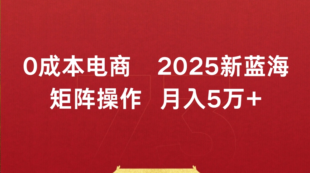 0成本电商2025新蓝海矩阵操作 月入5万+ 第1张 0成本电商2025新蓝海矩阵操作 月入5万+ 第1张