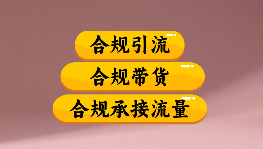 合规引流、合规并且高效地做带货、合规承接流量(揭秘) 第1张 合规引流、合规并且高效地做带货、合规承接流量(揭秘) 第1张